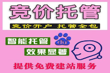 揭秘SEM搜索引擎优化成功案例，助您优化策略